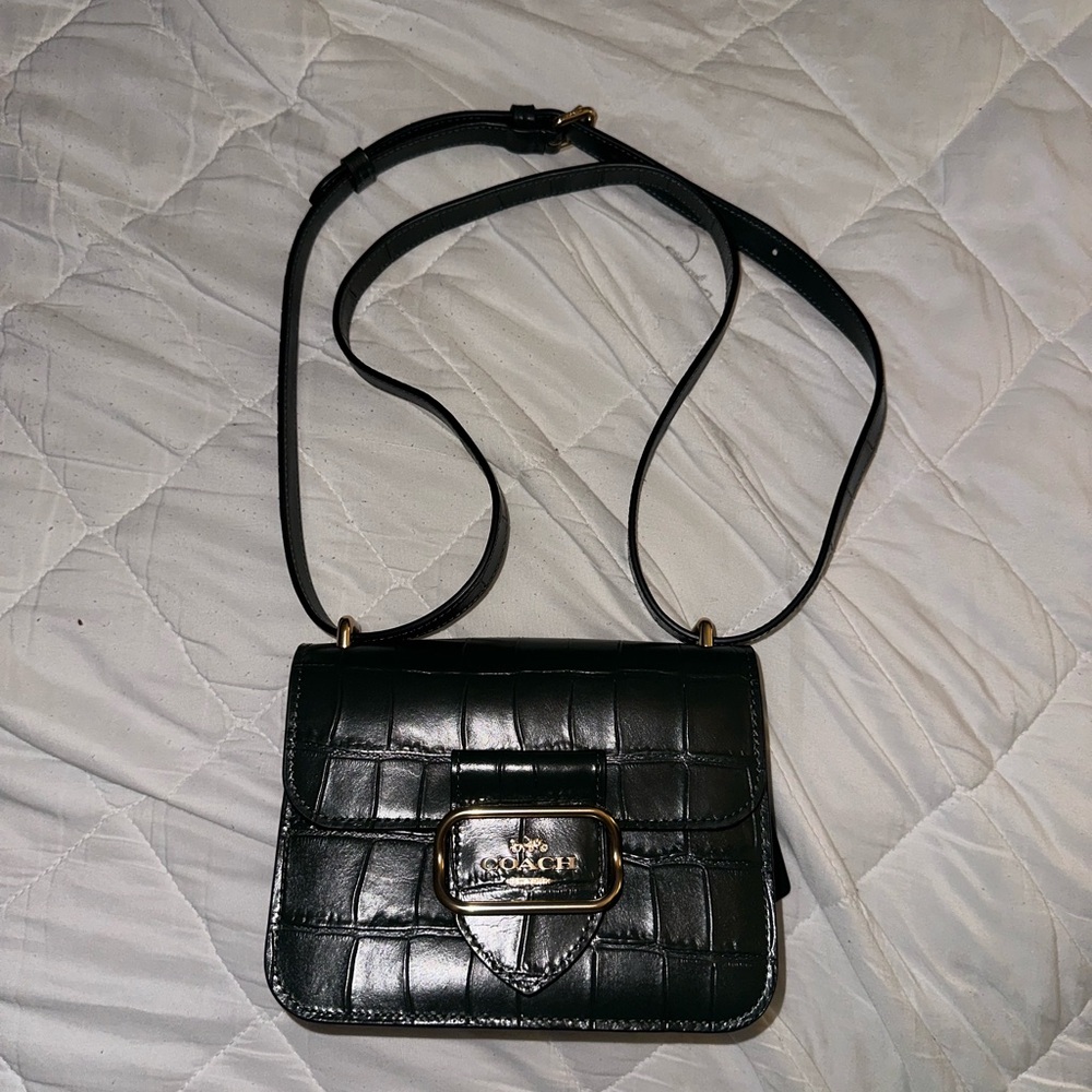 Coach Amazon Green Croc Leather Crossbody Bag